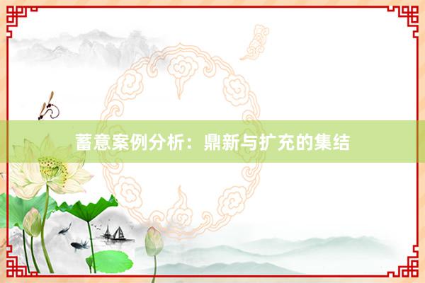 蓄意案例分析：鼎新与扩充的集结