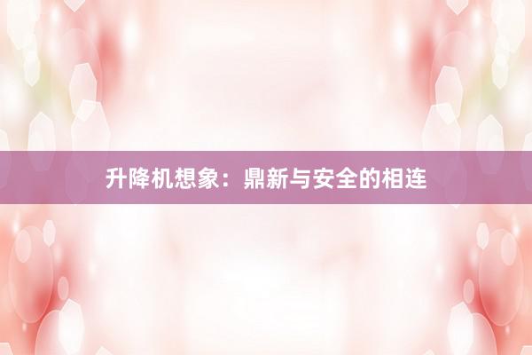 升降机想象：鼎新与安全的相连